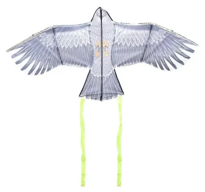 Image de Cerf-volant - Oiseaux - L 40 cm x l 137,4 cm x H 69 cm