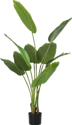 Immagine prodotto di Pianta Artificiale Uccello del Paradiso Alta 160 cm per Interni con Vaso in PEVA Verde