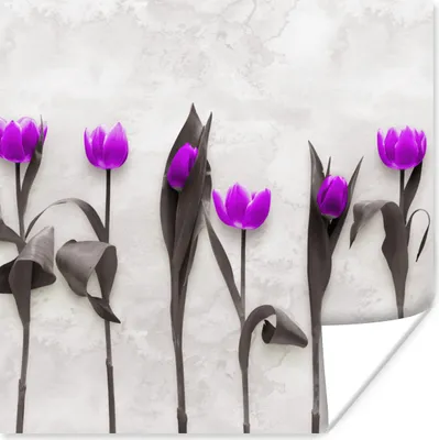 Produktbild von MuchoWow® Poster Blumen - Tulpen - Lila 50x50 cm - Wohnzimmerdekoration