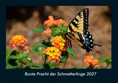 Produktbild von Bunte Pracht der Schmetterlinge 2027 Fotokalender DIN A4