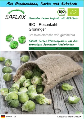 Produktbild von SAFLAX - Geschenk Set - BIO - Rosenkohl - Groninger - 30 Samen - Mit Geschenk- / Versandbox, Versandaufkleber, Geschenkkarte und Anzuchtsubstrat - Brassica oleracea
