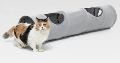 Produktbild von ® Katzentunnel, Katzentunnel für Erwachsene, kreisförmiger Katzentunnel, Faltbarer Haustiertunnel, Katzenspielzeug für drinnen und draußen, Katzentunnel für drinnen und draußen