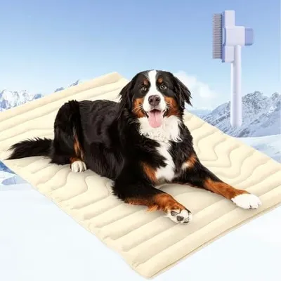 Produktbild von Pfotenchill Kühlmatte (Cremeweiß, S（51 * 41 cm）) | Premium Kühlmatte Hund Selbstkühlend, Waschbare Kühldecke Hund für Sommer, Kratzfest & Wasserdicht, Faltbare Hundekühlmatte
