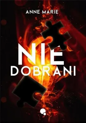 Obrázok produktu pre Niedobrani - Anne Marie