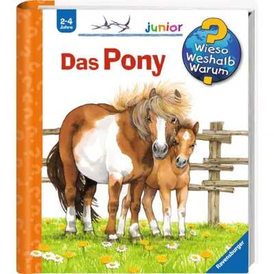Produktbild von Das Pony