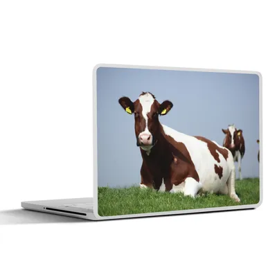 Produktbild von MuchoWow® Laptop Aufkleber Sticker Cover Kühe - Gras - Friesland 36.5x27.5 cm - Laptop-Sticker