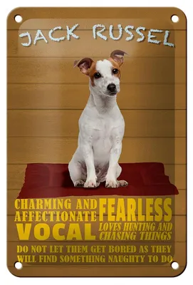 Produktbild von Blechschild Spruch 12x18cm Jack Russel Hund charming