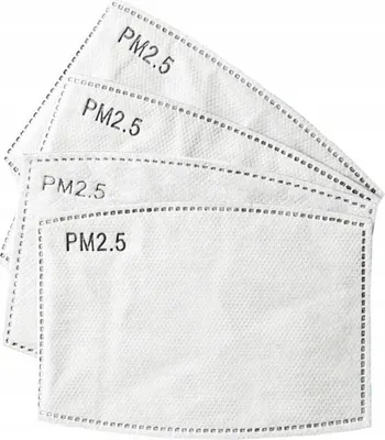 Immagine prodotto di 10x filtro HEPA PM 2,5 COAL per bambini 10 unità