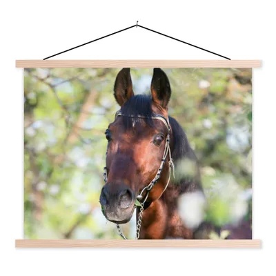 Produktbild von MuchoWow® Textilposter Pferde - Blüte - Frühling - Tiere 40x30 cm mit holzfarbenen Rahmen - Bilder