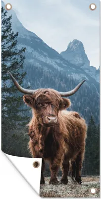 Produktbild von MuchoWow® 30x60 cm Outdoor-Poster Gartendeko Sichtschutz Garten Poster für den Garten  Schottische Highlander - Tiere - Landschaft