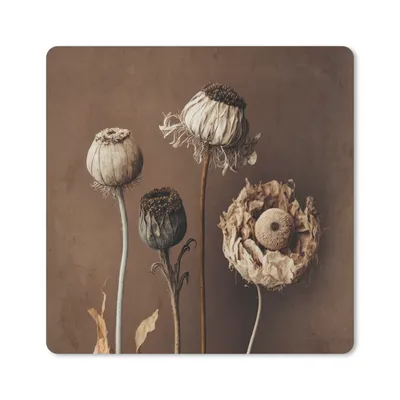 Produktbild von MuchoWow® Mauspad Mousepad Blumen - Pflanzen - Trockenblumen - Braun 20x20 cm - Mousepads - Maus Mat - Pad - Mausunterlage - Desk Mat - Bureauartikeln
