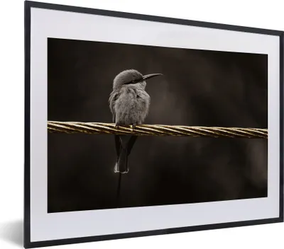 Produktbild von MuchoWow® Gerahmtes Poster Vogel - Schwarz - Gold 40x30 cm - Poster mit Schwarzem Bilderrahmen Wandposter Rahmen Foto Bilder - Bilderrahmen - Poster im Rahmen