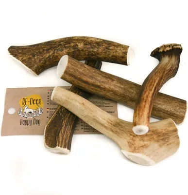 Produktbild von RF-DEER Hirschgeweih SET 5x M 255-350g 11-13cm Hard natürliches Geweih, Öko Kausnack für Hunde, gesundes Kauspielzeug, Kauknochen für Genuss