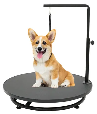 Image de Table de toilettage pour chiens, 61 cm, réglable en hauteur et pivotante, avec boucle de maintien, idéale pour une utilisation à domicile