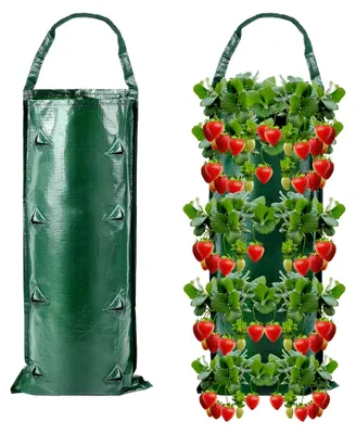 Produktbild von Erdbeer Pflanzsack 2 Stück mit 8 Löchern für hängenden Anbau von Erdbeeren, Kräutern und Gemüse