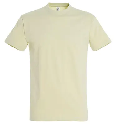 Image de SOLS - T-shirt « Imperial » pour hommes/femmes unie, coton filé à l'anneau LT2562 (M) (vert sauge)