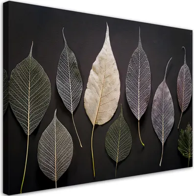 Produktbild von Leinwandbild Minimalismus Blätter Pflanzen Glamour 90x60 Feeby Grau bild für die wand bereit zum aufhängen