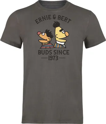 Produktbild von Sesame Street T-Shirt Herren Ernie und Bert - Bros Since 1973 grau M