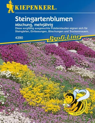 Produktbild von Steingartenblumen Mischung, mehrjährig