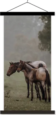 Produktbild von MuchoWow® Textilposter Pferde - Natur - Nebel 60x120 cm mit schwarzem Rahmen - Magnete