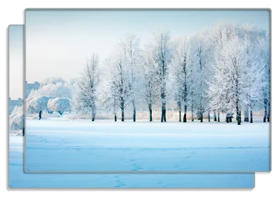 Produktbild von Wallario Frühstücksbrettchen 2er Set aus Glas, je 20 x 30 cm, mit rutschfesten Füßen, Motiv Verschneite Bäume in einer Winterlandschaft
