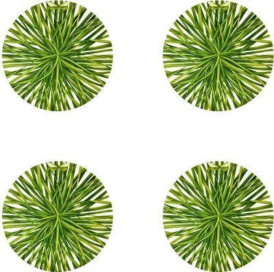 Produktbild von TAITÙ Life in Green Obst Dessertteller 21 cm