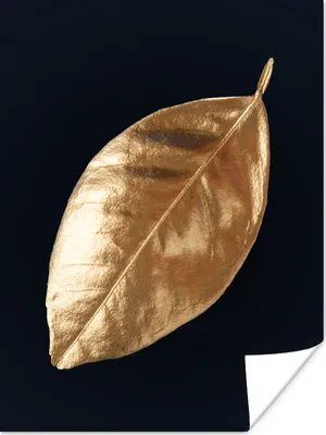 Produktbild von MuchoWow® Poster Blätter - Schwarz und Gold - Luxus - Natur - Pflanzen 90x120 cm - Wohnzimmer