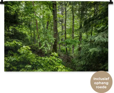 Produktbild von MuchoWow® Wandteppich Wandbehang Wald - Baum - Grün 90x60 cm Tapisserie Dekoration Wandtuch - Wandskulpturen - Bildteppich