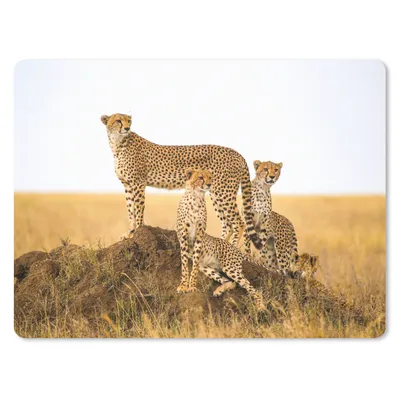 Produktbild von MuchoWow® Mauspad Mousepad Gepard - Gras - Natur - Savanne 23x19 cm - Mousepads - Maus Mat - Pad - Mausunterlage - Schreibtischunterlage - Mauspad