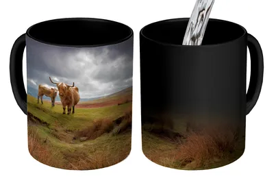 Obrázek produktu pro MuchoWow® Kouzelný pohár Skotští horalé - Skotská kráva - Krajina 350 ml Barva měnící se pohár Dárkový nápad - foto hrnek