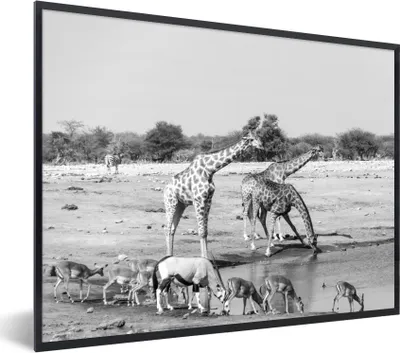 Produktbild von MuchoWow® Gerahmtes Poster Trinkende Tiere in der Savanne - schwarz und weiß 40x30 cm - Poster mit Schwarzem Bilderrahmen Wandposter Rahmen Foto Bilder - Kunstposter - Wanddekorationen