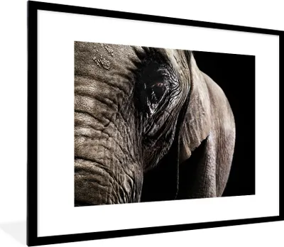 Produktbild von MuchoWow® MuchoWow® Gerahmtes Poster Elefant - Tiere - Nahaufnahme - Schwarz 80x60 cm - Poster mit zchwarzem Bilderrahmen - Schlafzimmer-Dekorationen - Fotoposter