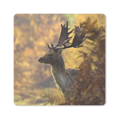 Produktbild von MuchoWow® Mauspad Mousepad Hirsche - Geweihe - Herbst 20x20 cm - Mousepads - Maus Mat - Pad - Mausunterlage - Desk Mat - Bureauartikeln