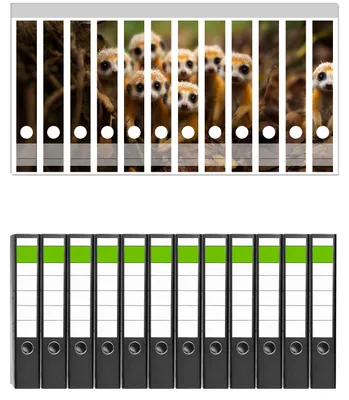 Produktbild von Wallario 12 Stück schmale Ordner inkl. Klebeetiketten mit Motive Neugierige Erdmännchen -  Set mit Rückenschildern / Ordnerrücken Stickern