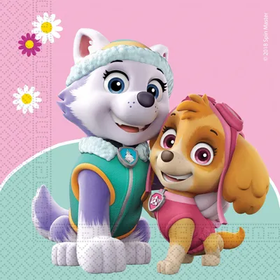 Tovaglia Paw Patrol 120x180 Cm - Per Feste Bambini, Materiale Sicuro - Foto 2