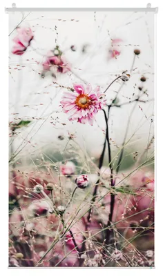 Produktbild von Lichtblick Rollo ohne Bohren, blickdicht, Tageslicht - bunt Rosa 110 cm x 150 cm (B x L)