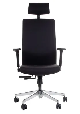 Produktbild von Drehbarer ergonomischer Bürostuhl ZN-807-C, verstellbare Armlehnen, Kopfstütze, Aluminiumbasis, verschiebbarer Sitz (vorne-hinten), Schwarz