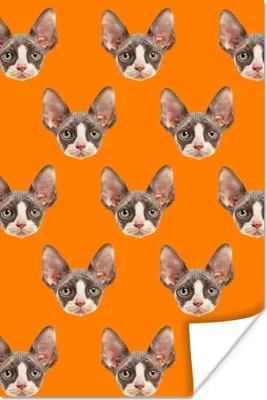 Produktbild von MuchoWow® Poster Katze - Orange - Muster 120x180 cm - Kunstposter