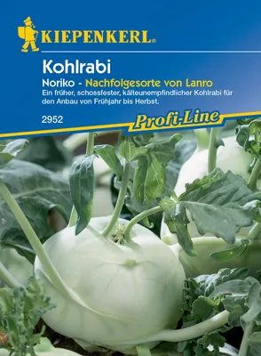 Produktbild von Kohlrabi Noriko | Kohlrabisamen von Kiepenkerl [MHD 01/2025]