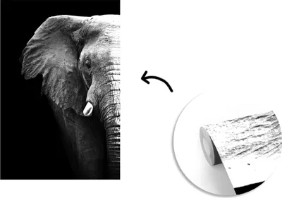 Produktbild von MuchoWow® Fototapete für Wohnzimmer oder Schlafzimmer Wandtapete Vinyl Motivtapete Elefant - Schwarz - Weiß - Porträt - 150x220 cm - Wandbilder