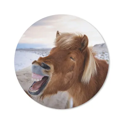 Produktbild von MuchoWow® Mauspad Mousepad Pferd - Strand - Braun 30x30 cm - Mousepads - Maus Mat - Pad - Mausunterlage - Tischunterlage - Schreibtischmatten