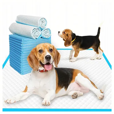 Produktbild von Welpen-Trainingspads 40x60 cm, 40 Stück – Superabsorbierend, Geruchsneutralisierend, Auslaufschutz, Rutschfest für Hunde & Katzen