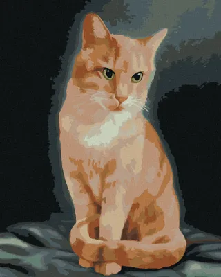 Produktbild von Zuty - Malen nach Zahlen - ROTER KATER (MYROSLAVA VOLOSCHUK), 40x50 cm, mit Keilrahmen (bereits gespannt)