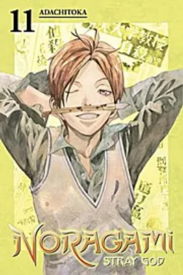 Obrázok produktu pre Noragami Volume 11