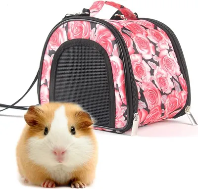 Produktbild von Outdoor-Rucksack Haustiere: Atmungsaktive Schultertasche für Eichhörnchen und Kaninchen