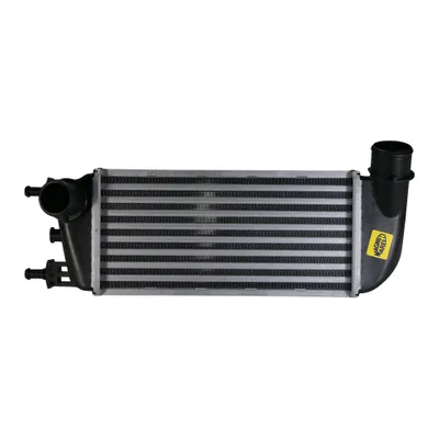 Obrázek produktu pro Mezichladič 260-130-64 mm 51787495