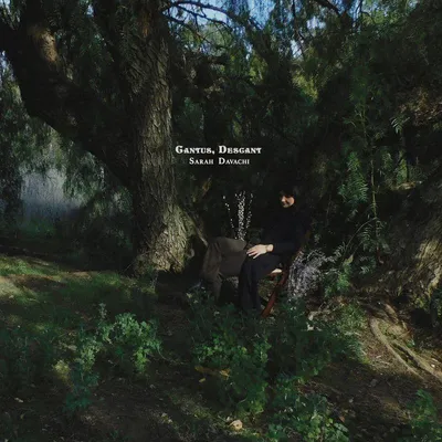 Immagine prodotto di Sarah Davachi - Cantus, Descant Vinyl
