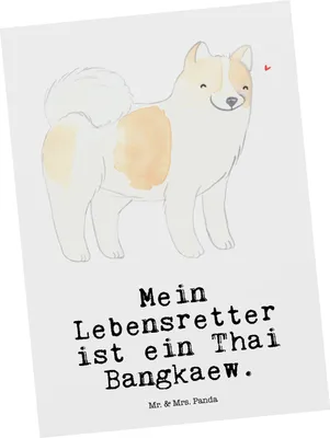 Produktbild von Mr. & Mrs. Panda Postkarte Thai Bangkaew Lebensretter - Weiß - Geschenk, Dog, Postkarten, Ansichtskarte, bildkarte, Grußkarte, Ansichtskarten