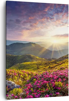 Produktbild von Bild auf Leinwand - Leinwandbild - Einteilig - Gebirge Wiese Landschaft Wald - 50x70cm - Wand Bild - Wanddeko - Wandbilder - Leinwanddruck - Wanddekoration - Leinwand bilder - Wandbild - PA50x70-3152