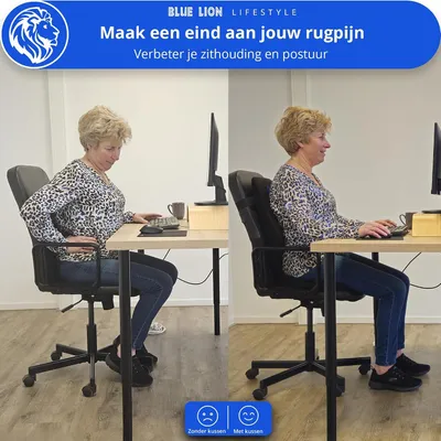 Productafbeelding van Ergonomisch kussen voor rugondersteuning, blauw, voor een betere zithouding